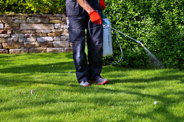 Best Pest Prevention Services  in Burns Flat, OK